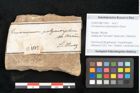 Foto (Objekt + Etikett) von Cinnamomum polymorphum Braun (NHMW-GEO-2024-0188-11402)